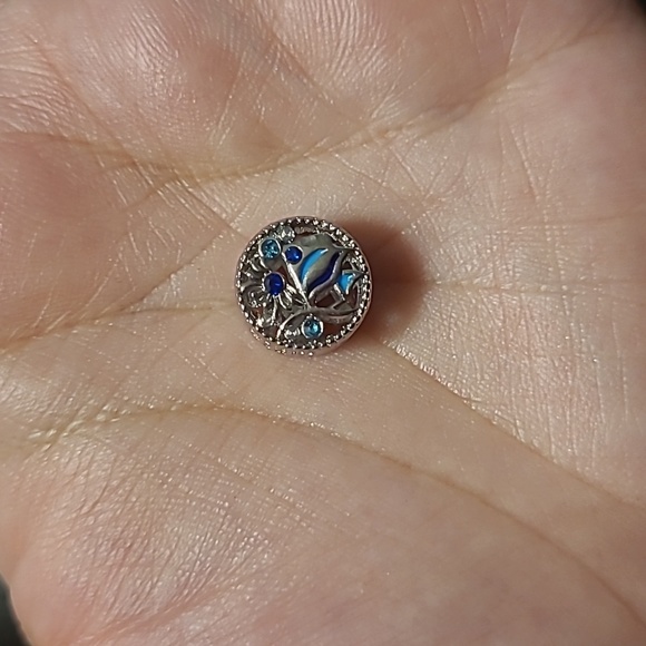 Wonders of the sea - Picture 4 of 4